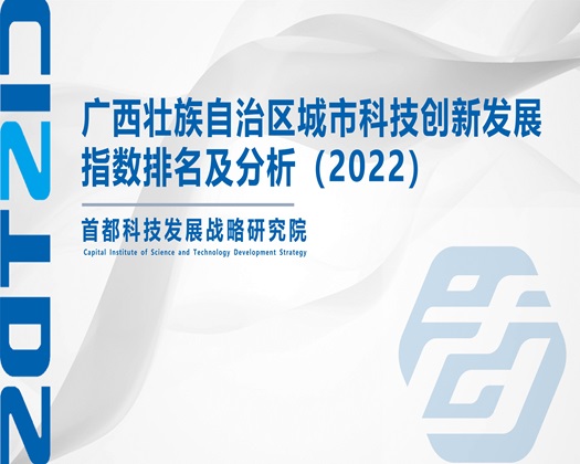 美女被男生用鸡巴干的啊啊啊啊免费视频网站【成果发布】广西壮族自治区城市科技创新发展指数排名及分析（2022）